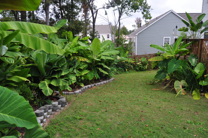 Soil Wrangler Vermicompost Containers