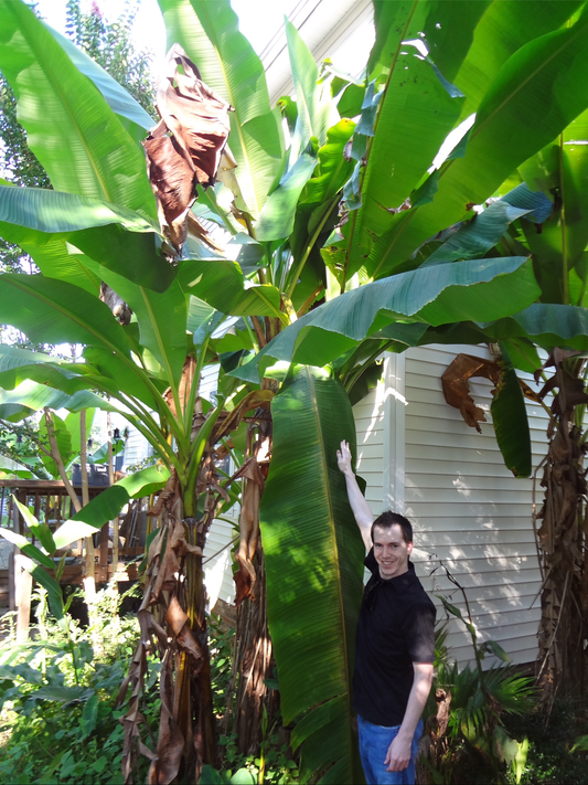 Soil Wrangler Vermicompost + Biochar Buckets