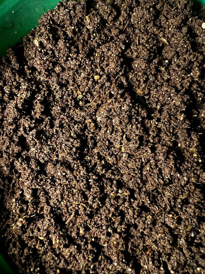 Soil Wrangler Vermicompost Containers