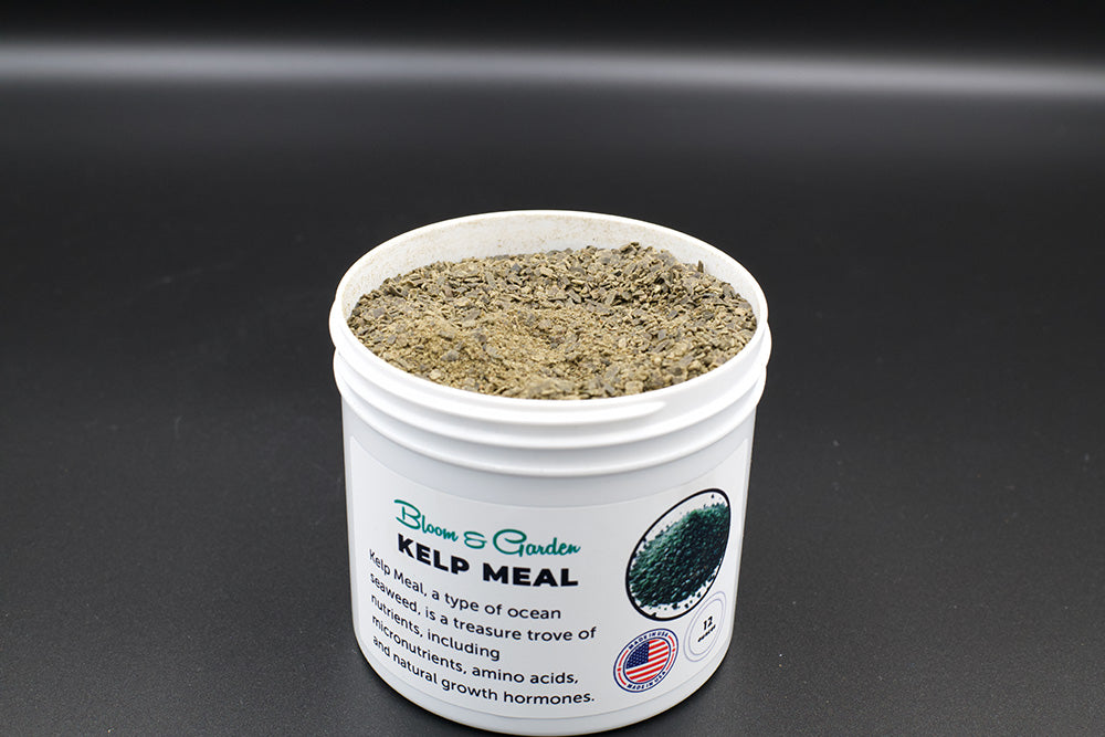 Kelp Meal