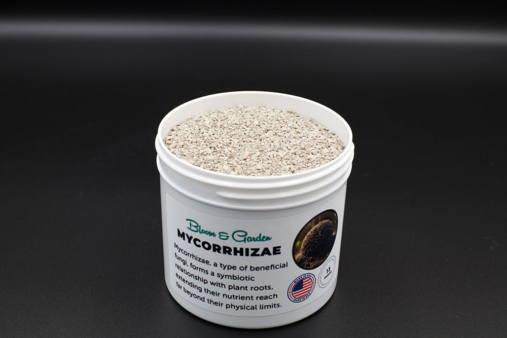 Mycorrhizae